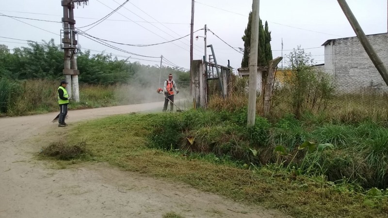 Trabajos de desmalezado en Misiones y Monteagudo