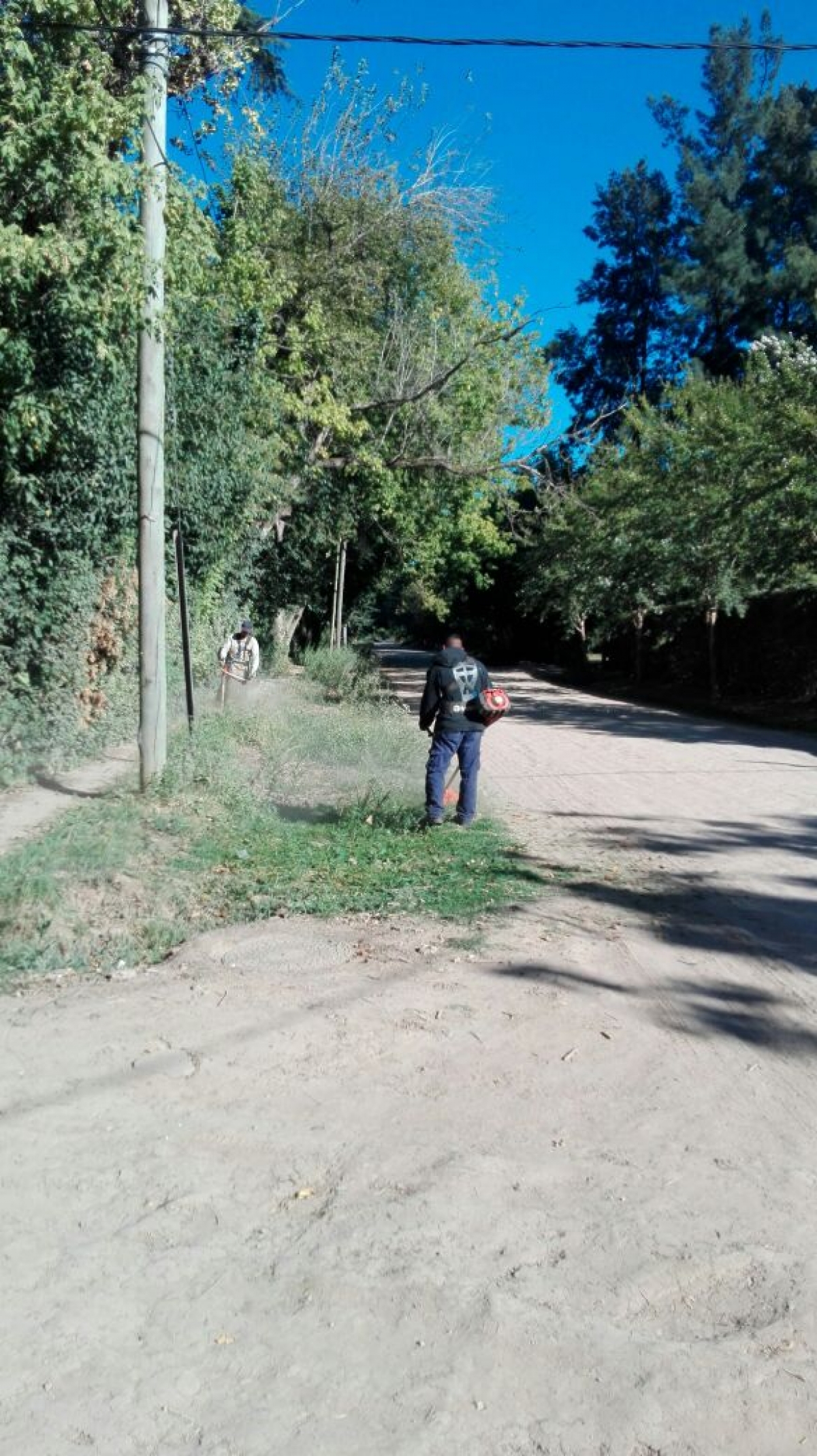 Corte de pasto y limpieza