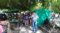 Feria Itinerante Municipal