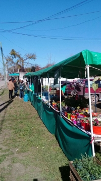 La Feria Municipal recorre los barrios