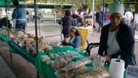 Feria Itinerante Municipal