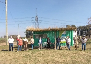 Jornada por el día del árbol