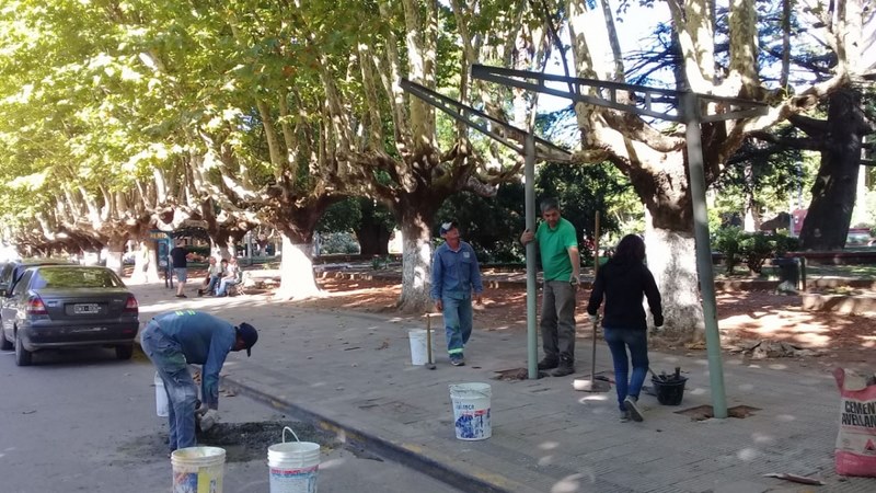 Instalación de un refugio para la espera de transporte público