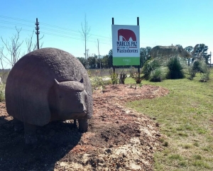 Escultura Paleontológica: Gliptodonte