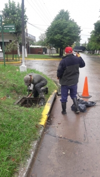 Trabajos de limpieza