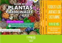 Nueva edición del Taller de Plantas Medicinales