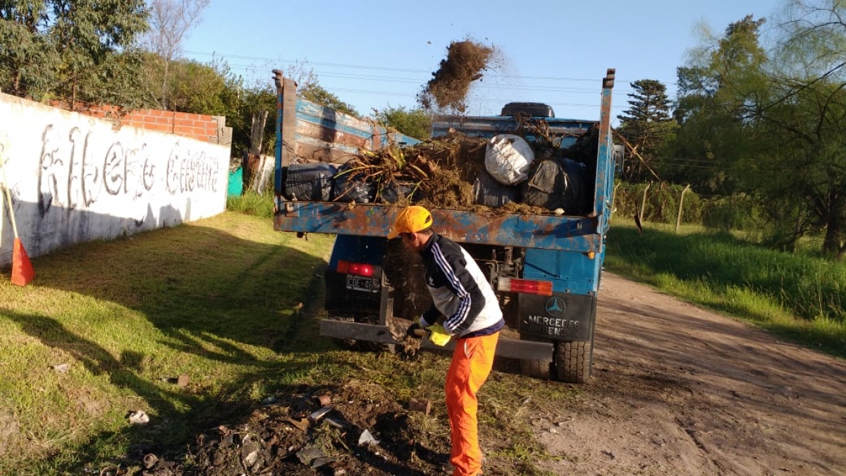 Trabajos de limpieza y recolección