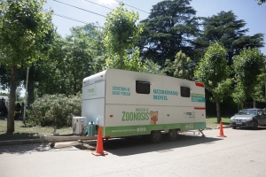 Nuevo operativo de castraciones