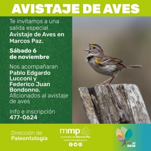 Avistaje de aves