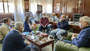 Reunión con la presidenta de la Asociación Civil Scouts Argentina,