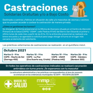 Castraciones solidarias, gratuitas y/o de bajo costo