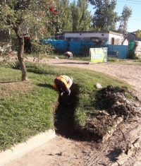 Limpieza de zanjas en La Recova