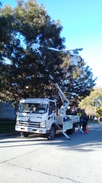 Reparación de luminarias en el casco urbano