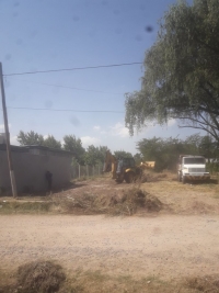 Desmalezado y limpieza del terreno junto a la Escuela 20