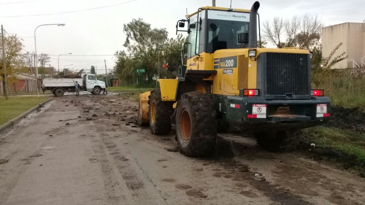 Limpieza y recolección de ramas en La Recova