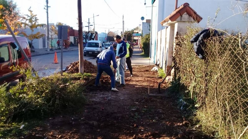 Construcción de veredas