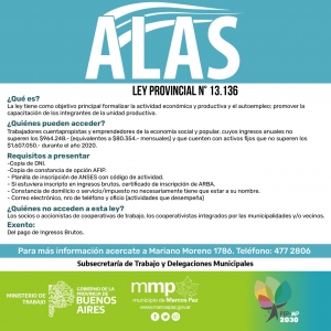 ALAS - Ley Provincial Nº 13.136