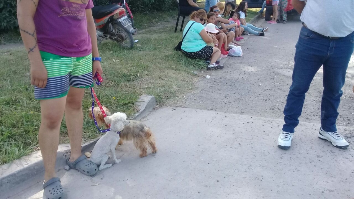 Continúa en el CIC el cronograma de castraciones de mascotas