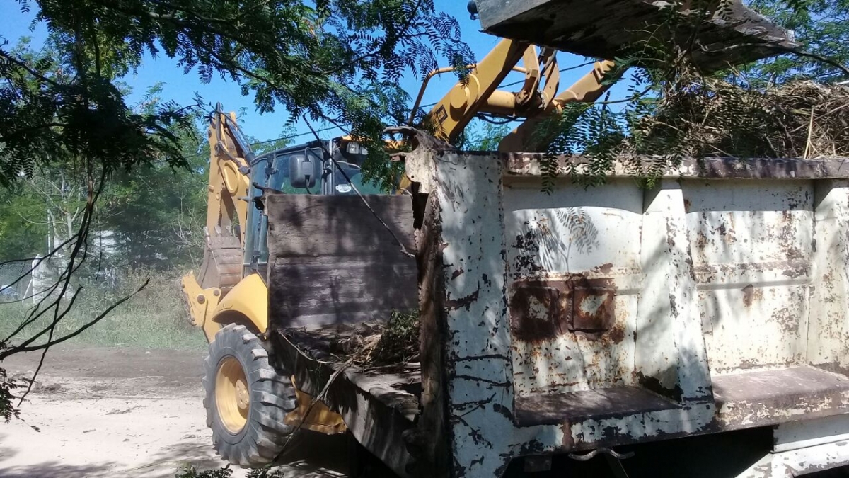 Limpieza de calles en La Paz