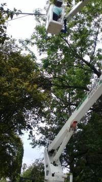 Obras y Servicios, reparación de luminarias en plaza Yrigoyen