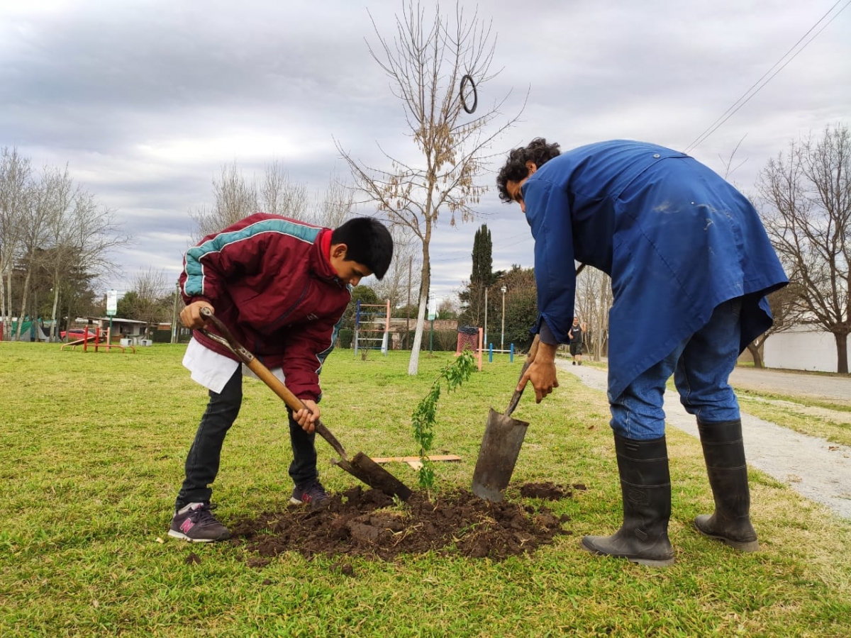 Celebración del Día del Árbol