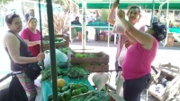 La Feria Municipal se ubicó ayer en el Paseo de la Estación