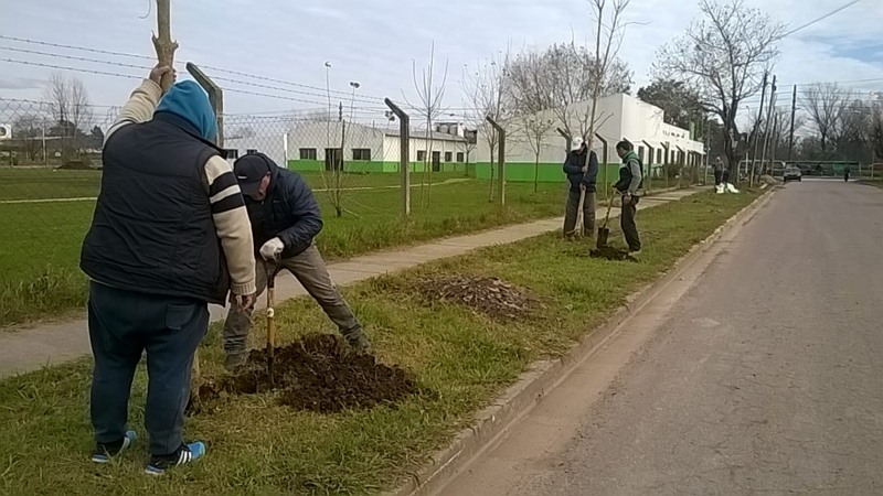 Plan Forestal 2019