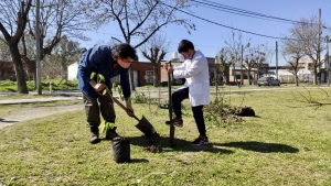 Semana del árbol