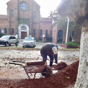 Colocación de piedras