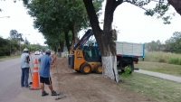 Puesta en valor de la bicisenda sobre Ruta 40