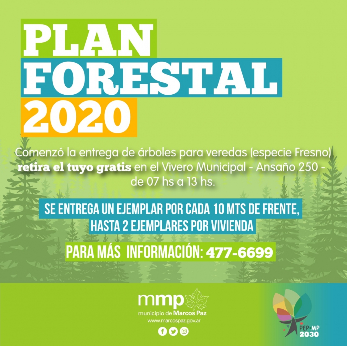 Plan Forestal 2020