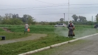 Corte de pasto y desmalezado en Ruta 40, altura El Hornero