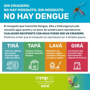 Sin criadero no hay mosquito, sin mosquito no hay dengue