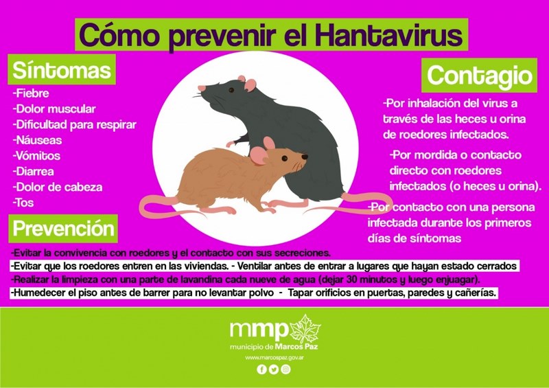 Cómo prevenir el HANTAVIRUS