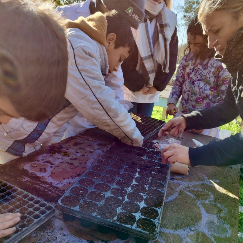 Taller sobre huerta