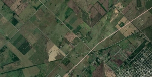 Mapas