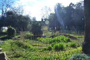 Jardín Botánico
